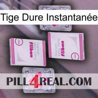 Tige Dure Instantanée 33